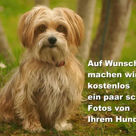 Fewo C4 für bis zu 5 Personen Menzenschwand-Hinterdorf Exterior foto