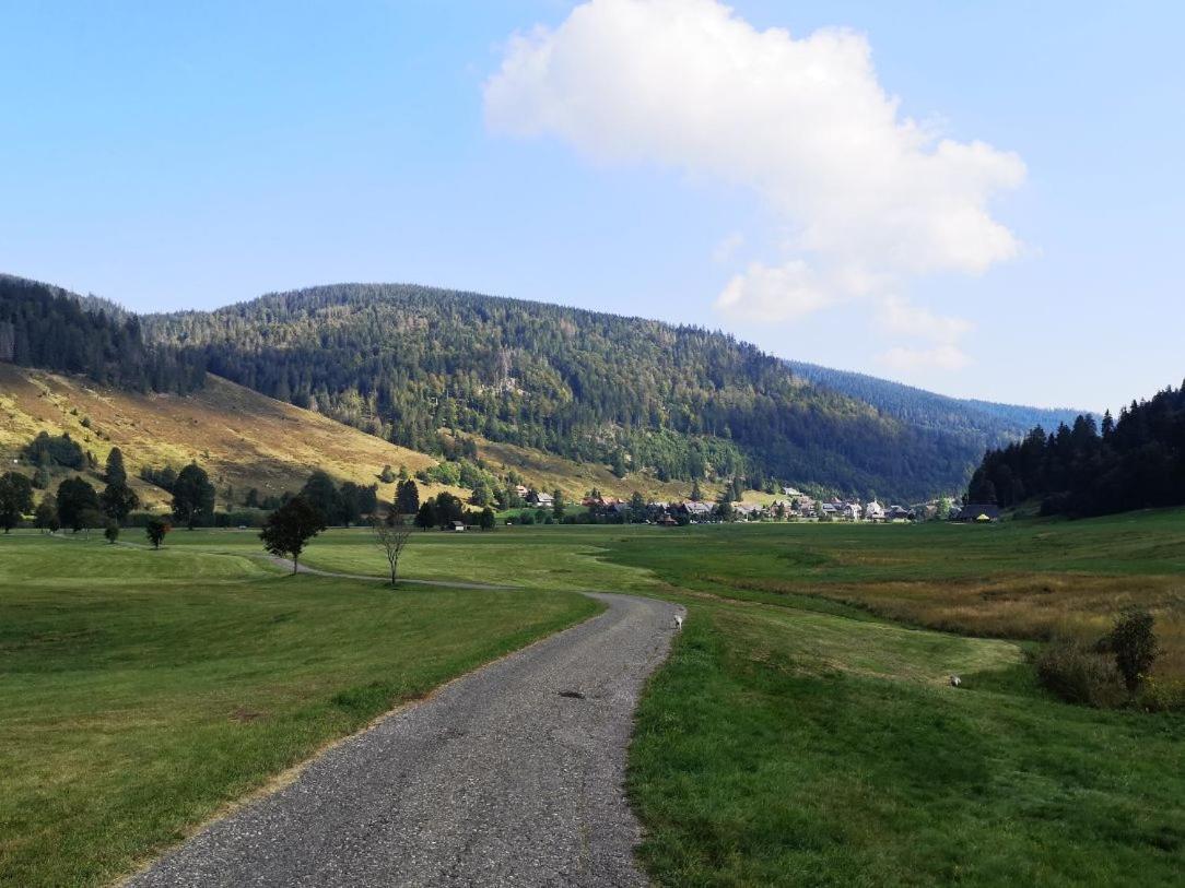 Fewo C4 für bis zu 5 Personen Menzenschwand-Hinterdorf Exterior foto