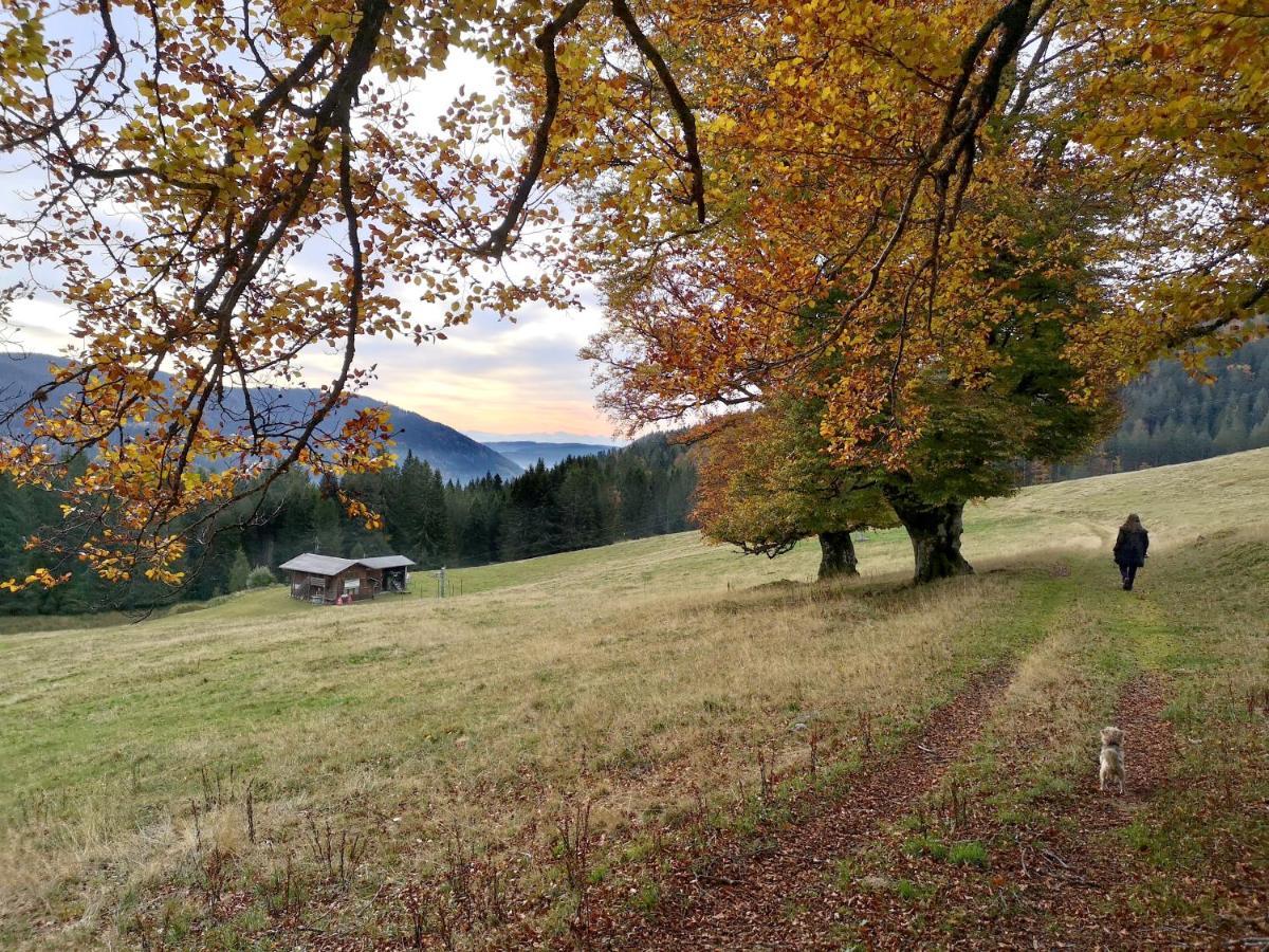 Fewo C4 für bis zu 5 Personen Menzenschwand-Hinterdorf Exterior foto