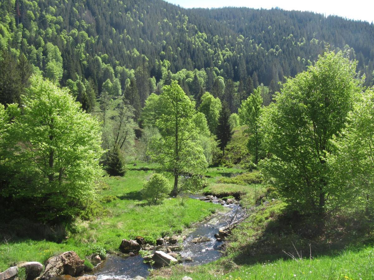 Fewo C4 für bis zu 5 Personen Menzenschwand-Hinterdorf Exterior foto