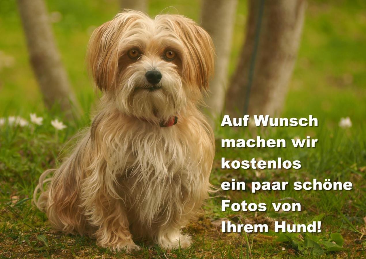 Fewo C4 für bis zu 5 Personen Menzenschwand-Hinterdorf Exterior foto