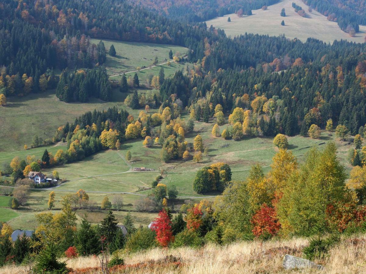 Fewo C4 für bis zu 5 Personen Menzenschwand-Hinterdorf Exterior foto