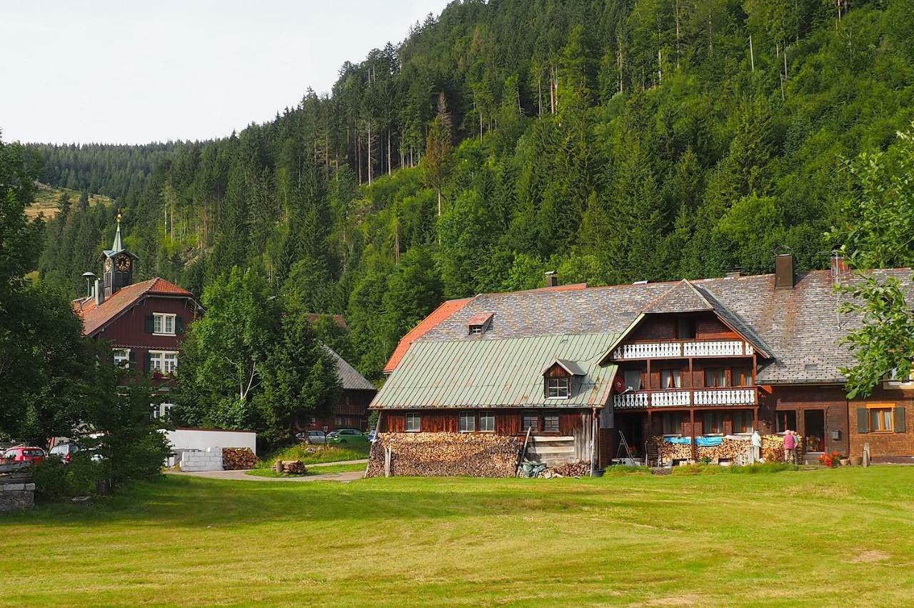 Fewo C4 für bis zu 5 Personen Menzenschwand-Hinterdorf Exterior foto