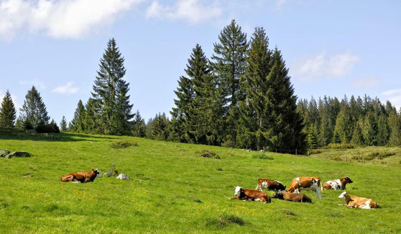 Fewo C4 für bis zu 5 Personen Menzenschwand-Hinterdorf Exterior foto