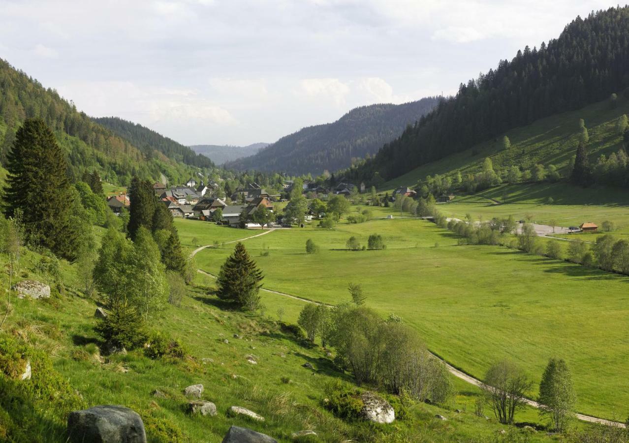 Fewo C4 für bis zu 5 Personen Menzenschwand-Hinterdorf Exterior foto