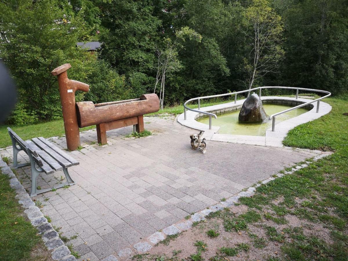 Fewo C4 für bis zu 5 Personen Menzenschwand-Hinterdorf Exterior foto