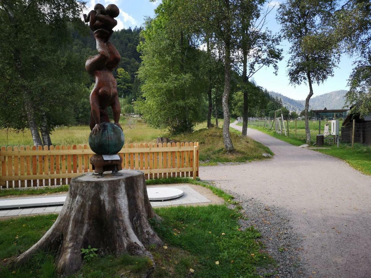 Fewo C4 für bis zu 5 Personen Menzenschwand-Hinterdorf Exterior foto