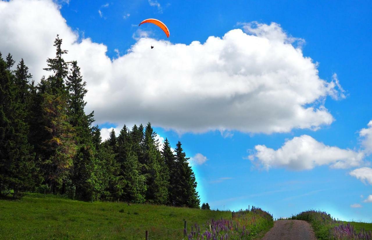 Fewo C4 für bis zu 5 Personen Menzenschwand-Hinterdorf Exterior foto
